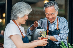 Elder couple watering a plant together