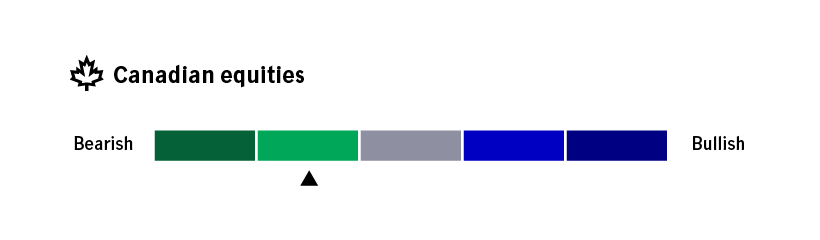 Simple infographic showing that the capital markets strategy team has a slightly negative view of Canadian equities, as of March 31, 2025..