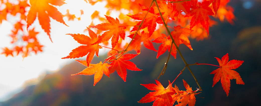 Continued economic disruption and why Manulife Private Wealth is turning towards ESG
