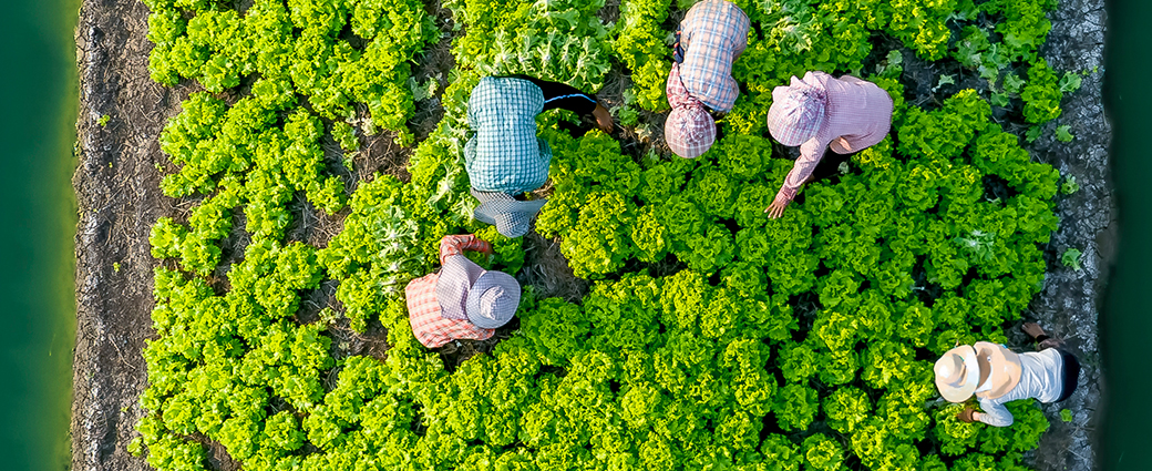 Investir dans l’agriculture : Bonnefield Canadian Farmland Evergreen LP (balado)